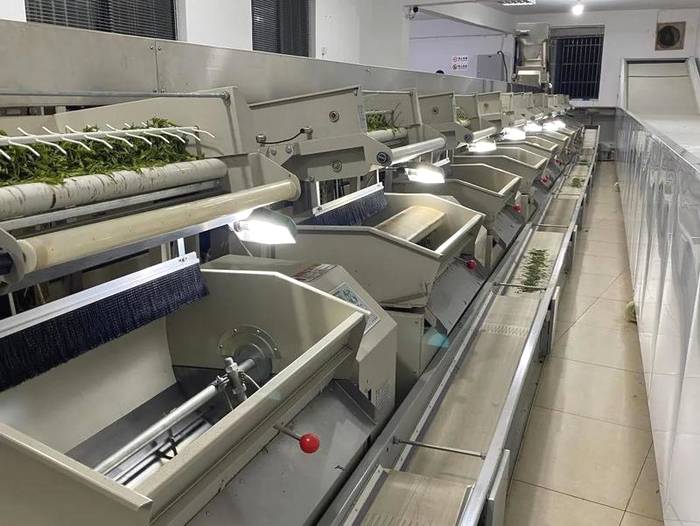 关于来听一听专家是如何把脉西湖龙井茶的保护与传承、创新与发展的的最新资讯(1)