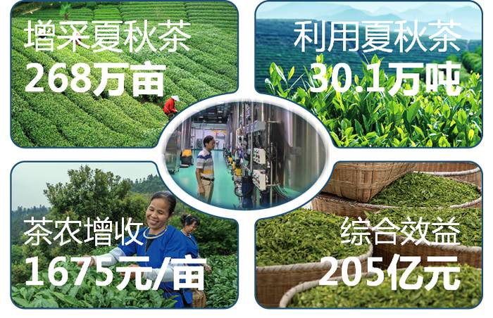 有关于中茶所“夏秋茶高值化利用关键技术创新与应用”科技成果喜获2020年度“浙江省科学技术进步奖一等奖”的消息(3)