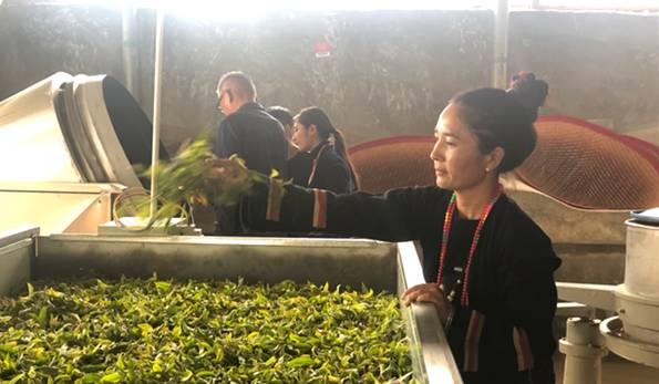 关于上海松江区援建茶叶初制所 让暖和村民的心里很“暖和”的消息(2)