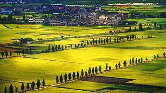 有关于2021年农业农村部重点扶持这样28个项目的最新信息(1)