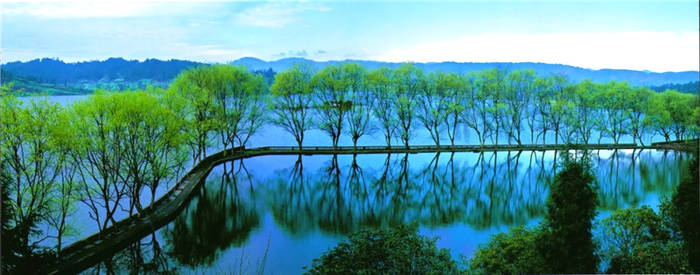 关于坐拥万亩茶田,来四川雅安解锁春日限定耍法的最新信息(25)