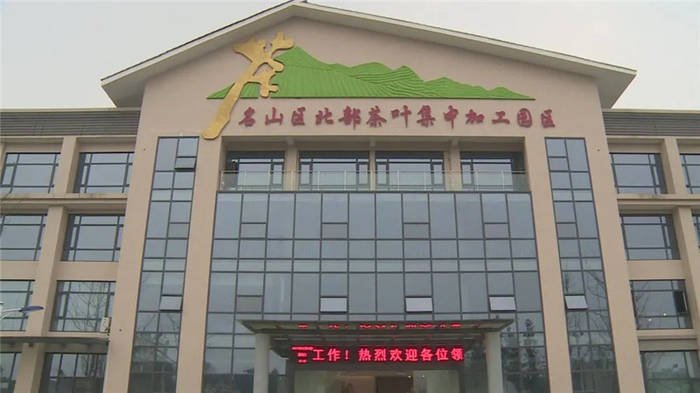 有关于名山政协委员风采系列报道一：推动转型升级 服务茶企茶商的最新消息(2)