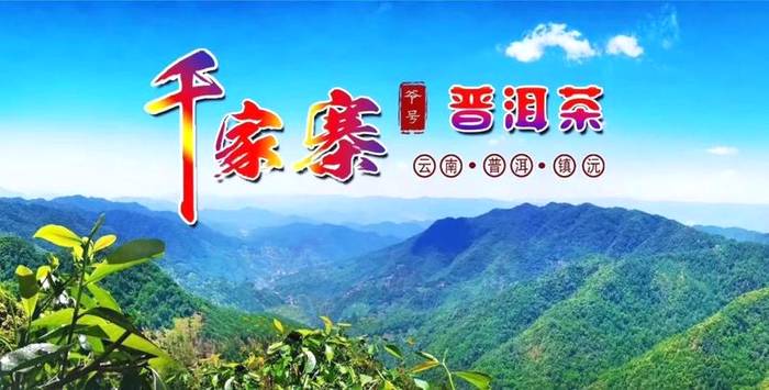 关于茶届大咖王岳飞为千家寨爷号普洱茶打call的最新信息