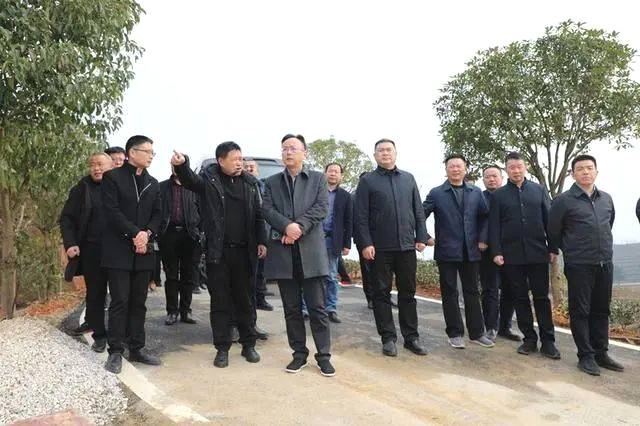 关于以茶促旅 以旅兴茶 桃江华莱茶旅一体化项目投资3.8亿元的热门资讯(2)