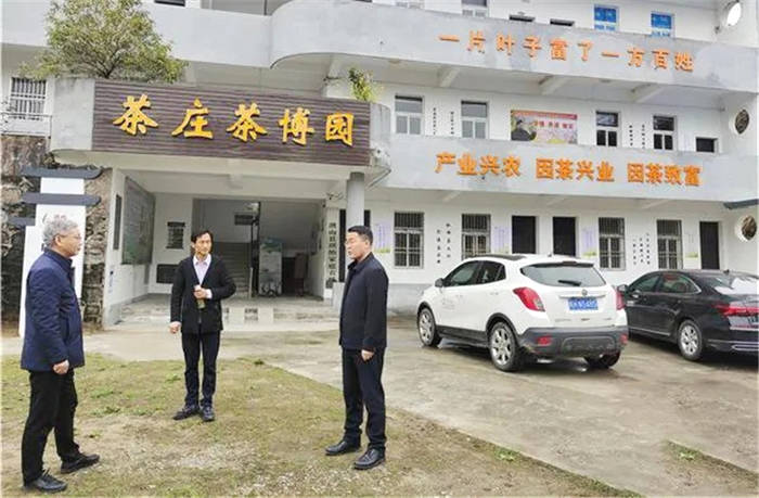 关于安徽:潜山市委副书记余华明一行赴天柱山镇调研指导春茶生产工作的热门消息(1)