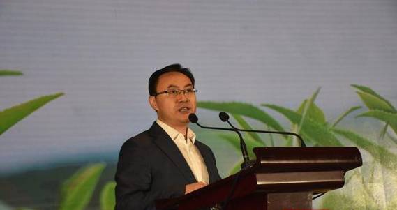 有关于中国黄金茶之乡湘西茶叶推介会 推动茶叶产业高质量发展的信息(6)