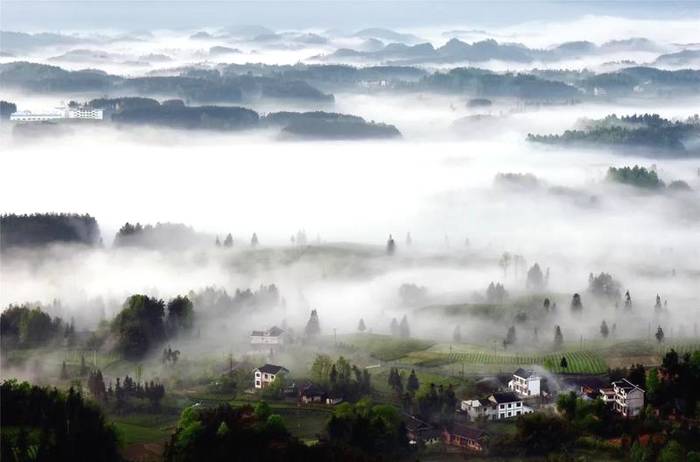 有关于中国富锌富硒有机茶之乡永安镇，“茶旅一体”打造森林康养旅游小镇 的热门资讯