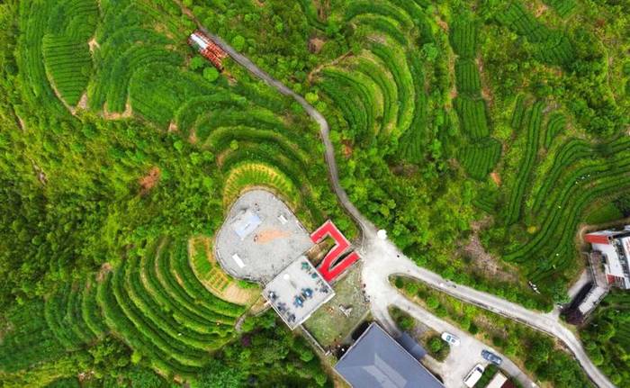 关于创新花果香型坦洋工夫亮相“国展”,百年工夫红茶再出发!的最新信息(13)