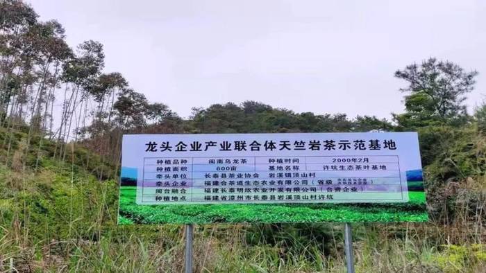 有关于成立产业联合体，漳州长泰县抱团发展茶产业的热门资讯(4)