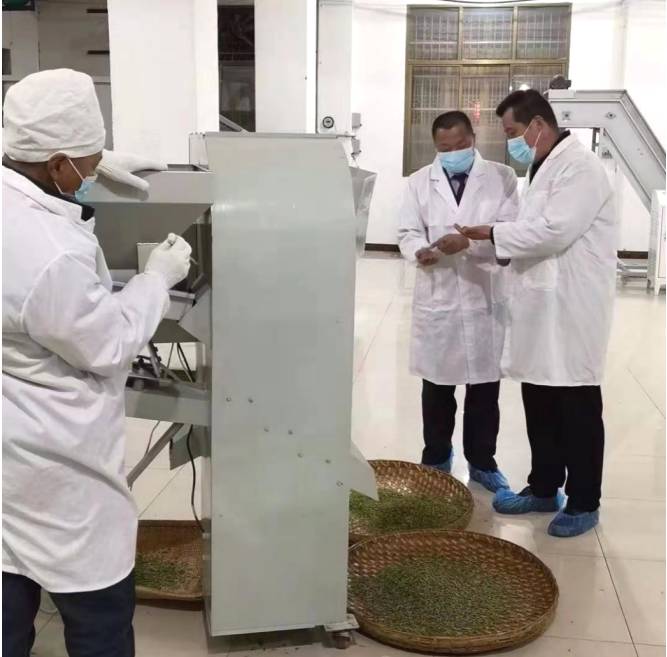 关于把农民的“茶篮子”变成鼓鼓的“钱袋子”的热门新闻(2)