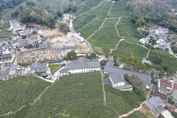 关于华春莹点赞杭州！外国朋友也被惊艳到了：“味道好极了……”的热门消息(3)