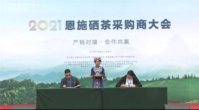 关于湖北：2021恩施硒茶采购商大会在恩施市硒茶小镇举行的热门新闻(9)