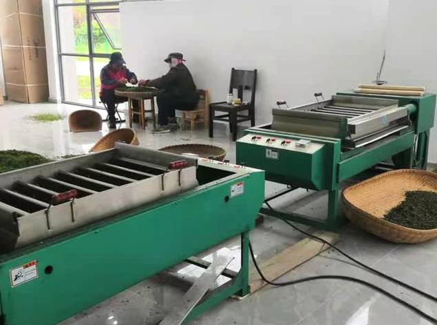 有关于扬州凤凰山：百亩茶园春茶香 村民“采”出幸福路的消息(3)