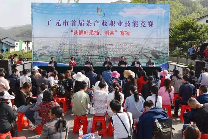 有关于广元市首届茶产业职业技能竞赛采茶与制茶比赛成功举办的新闻