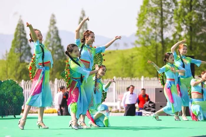 有关于中国有机茶之乡武义，一片茶叶拉动全产业链的热门新闻(1)