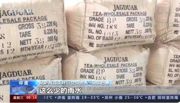 有关于阿萨姆邦茶叶种植区:1月到5月茶叶减产至少6000万公斤的热门资讯(1)