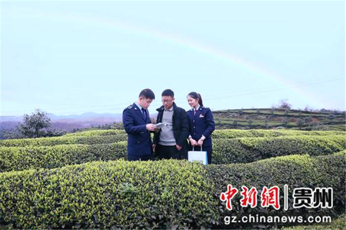 有关于贵州金沙县税务工作人员积极宣传茶产业减税降费政策的热门消息(3)