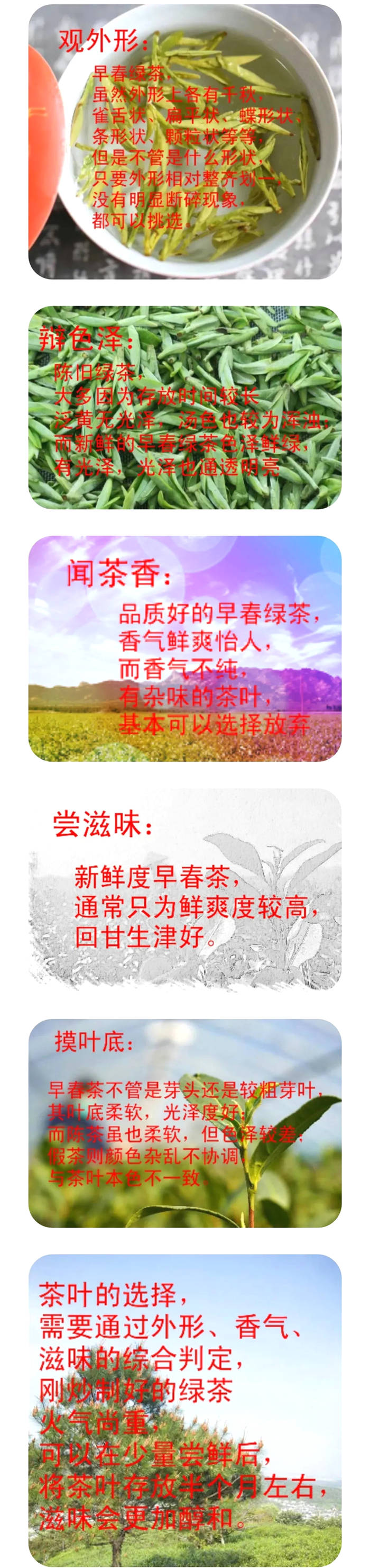 关于2021年长三角春茶茶情通报（第一期）的资讯(4)