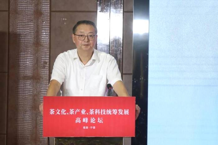 关于四大业内顶级专家,首次聚首宁德话“三茶”的信息(5)