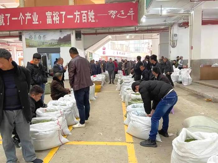 有关于2021年福鼎白茶最新价格行情快讯（2021年3月15日）的资讯(2)