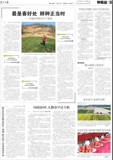 有关于读报纸，知黔茶 看今春贵州茶产业致富之路的热门新闻(6)