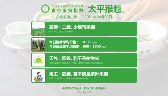 关于太平猴魁采摘其到来！洞庭山碧螺春、湄潭翠芽、黄山毛峰进入五级采摘期的新闻(9)