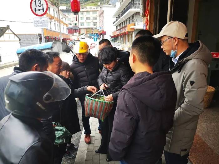 有关于新时代下,稳步良性发展的产业——福鼎白茶,值得关注的资讯(13)