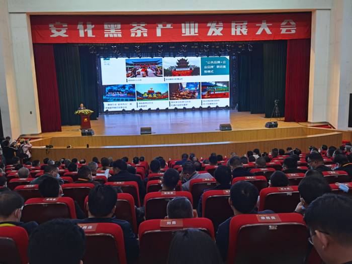 关于安化黑茶开启新征程，刘仲华院士工作站隆重揭牌的消息