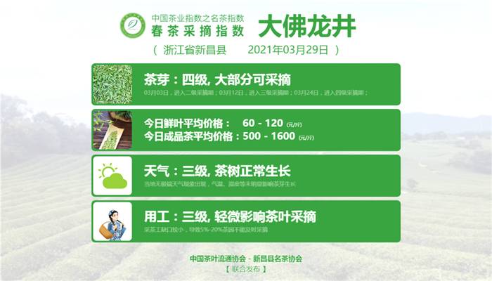 关于【春茶采摘指数】西湖龙井、大佛龙井四级，信阳毛尖三级的最新信息(4)
