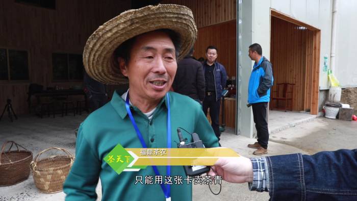 关于福鼎白茶大数据溯源平台正式运行，听听茶农茶企都是怎么说！的热门新闻(6)