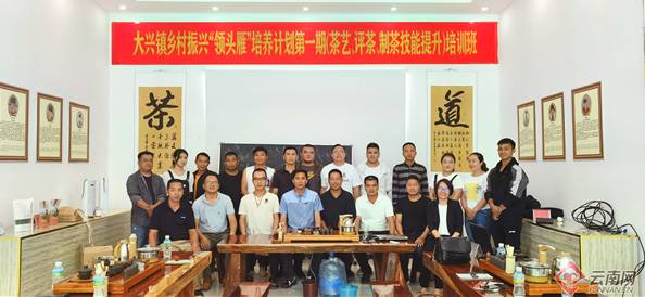 关于云南绿春：培育茶叶“领头雁” 以产业先行推动乡村振兴的消息
