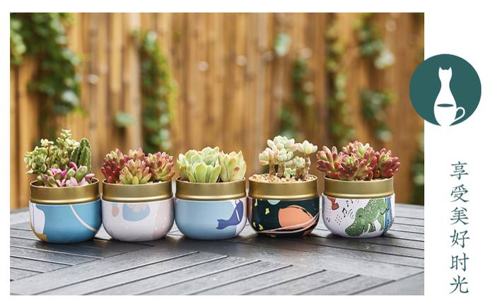 关于同比增长1288%，茶颜悦色们的线上茶包新生意的热门新闻(9)