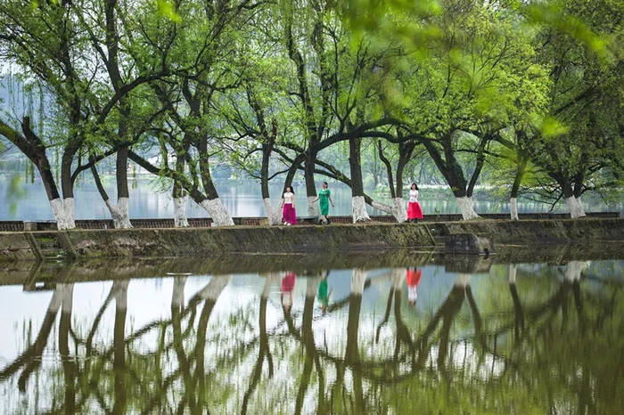 关于坐拥万亩茶田,来四川雅安解锁春日限定耍法的最新信息(24)