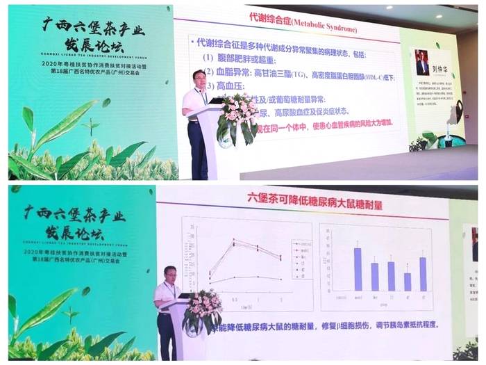 关于2020下半年六堡茶产业持续发力，这些热点你都关注了吗？的热门资讯(1)