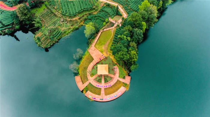 关于坐拥万亩茶田,来四川雅安解锁春日限定耍法的最新信息(21)