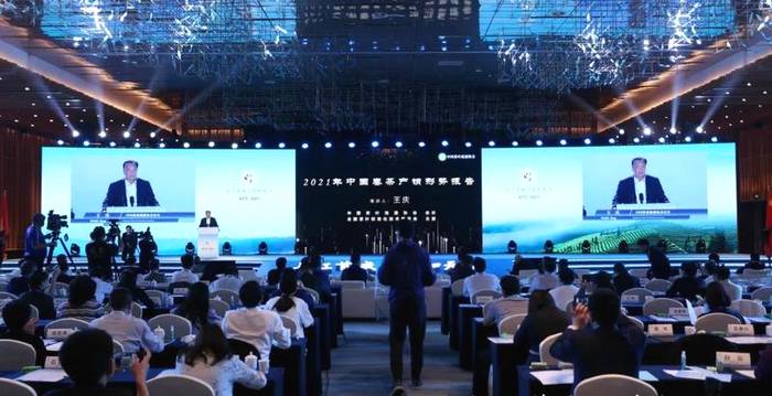 关于第四届国际（宜宾）茶业年会在宜宾三江新区开幕的新闻