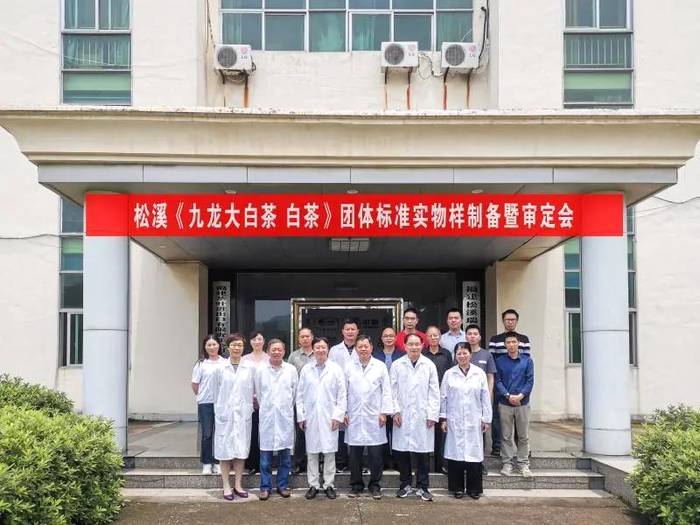 有关于松溪《九龙大白茶 白茶》 团体标准实物样制备暨审定会圆满结束的热门消息
