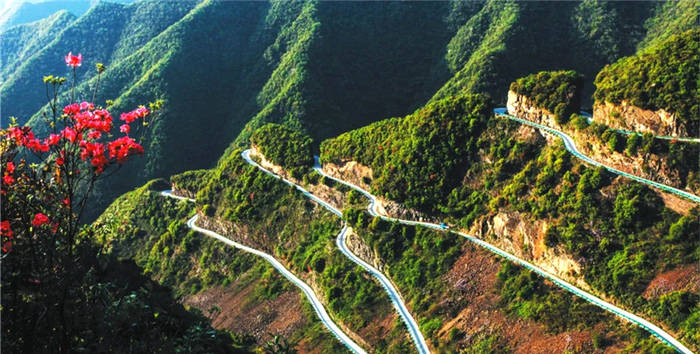 关于安徽:泾县副县长李宏武一行赴安化考察交流茶产业振兴经验的最新资讯(6)