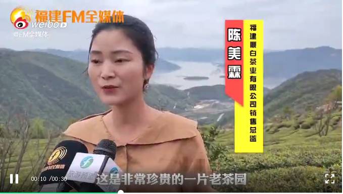 有关于福建FM全媒体记者镜头下的福鼎白茶产业的最新资讯(5)