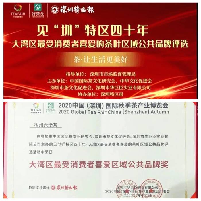 关于2020下半年六堡茶产业持续发力，这些热点你都关注了吗？的热门资讯(11)