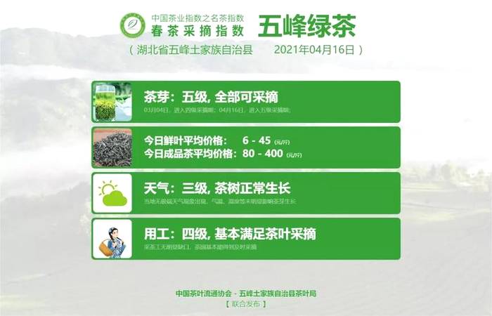 有关于【春茶采摘指数】尽享武夷风韵,武夷岩茶(黄观音)正式开采!的热门消息(2)
