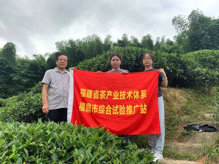 有关于福建省现代茶业产业技术体系福鼎综合试验站开展调研指导工作的资讯(2)