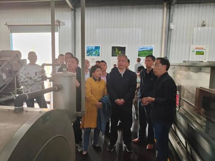 关于现代茶产业如何做强做大？福鼎赴雅安考察取经的资讯(10)