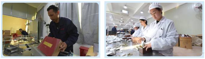 有关于第十届福鼎白茶开茶节纪念茶是什么样？去看看的资讯(3)