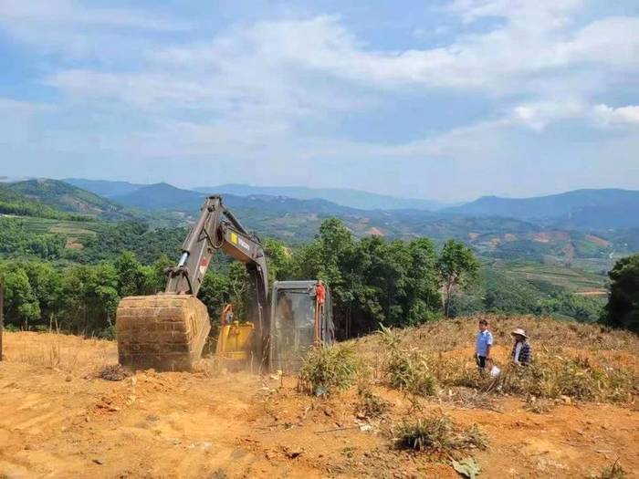 有关于抓好源头,促进福鼎白茶产业绿色高质量发展的资讯(3)