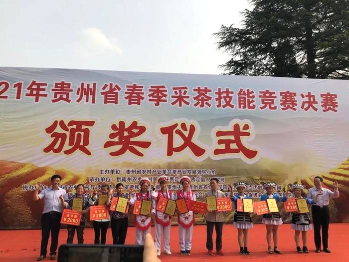 有关于双手采出致富叶！贵州省大力推广双手采茶成效显著的热门消息(11)