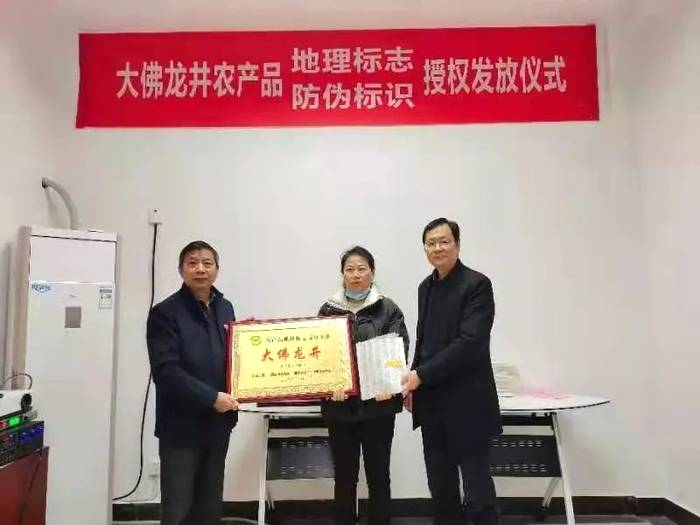 关于大佛龙井正式启动使用农产品“双标”授权仪式的热门资讯(11)