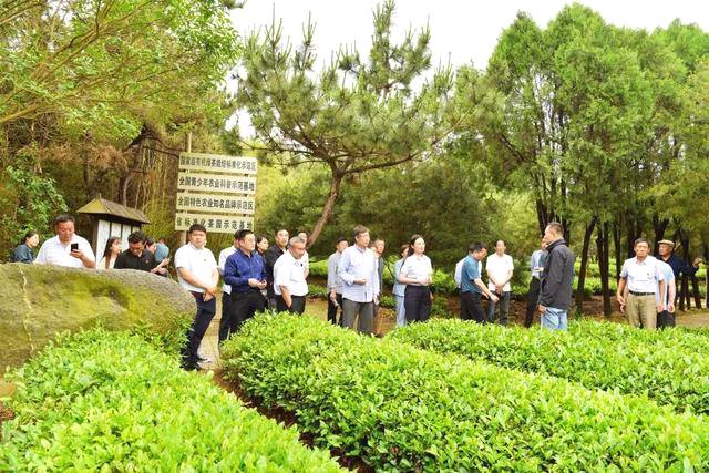 关于临沂市食协茶产业专业委员会赴日照考察交流活动成功举行的热门新闻(5)