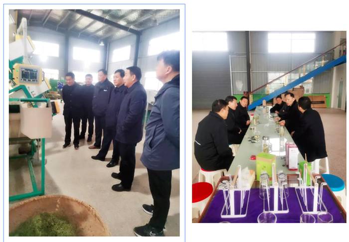 关于安徽：舒城县人民政府副县长梅家宏深入茶区调研的热门资讯