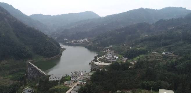 有关于兴隆乡大田村：阳春三月好风光 群众山上采茶忙的最新消息(9)